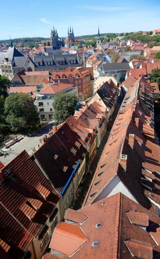 -Apartment Am Luisenpark-Perfekte Lage Im Gruenen Fuer Ihren Aufenthalt Erfurt Esterno foto
