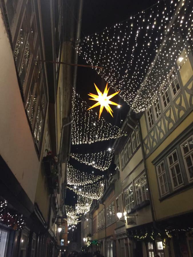 -Apartment Am Luisenpark-Perfekte Lage Im Gruenen Fuer Ihren Aufenthalt Erfurt Esterno foto